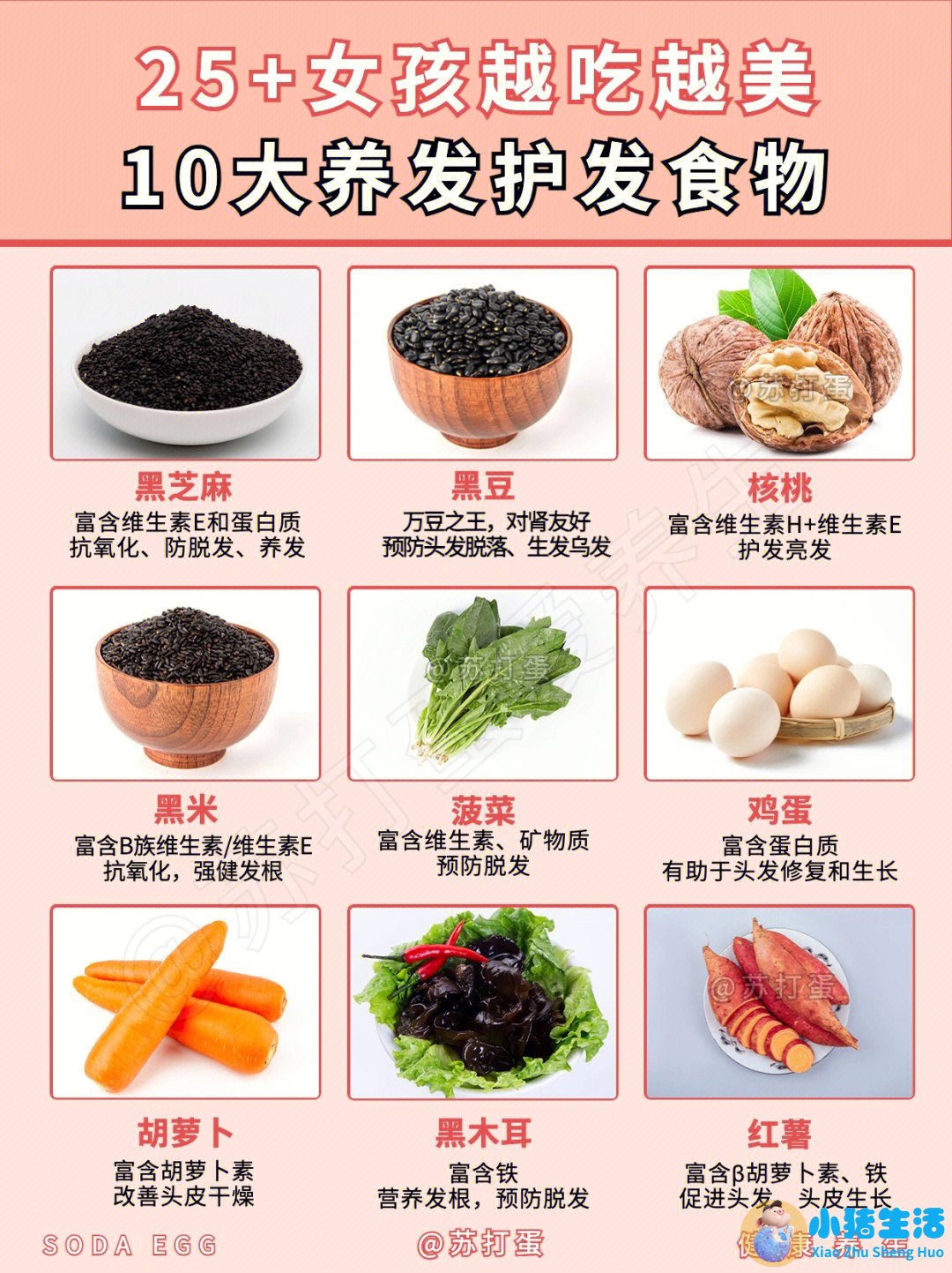 吃什么可以防止掉头发