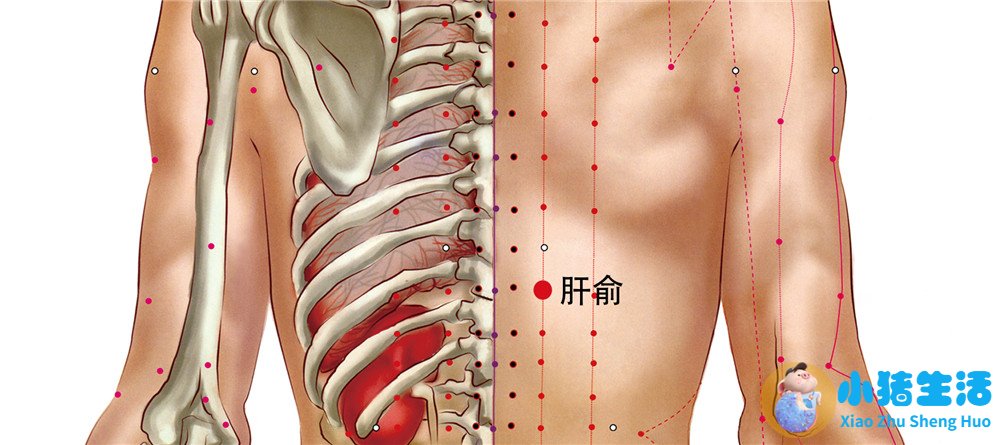 春季养生 ppt课件.ppt
