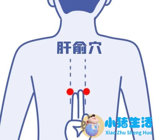 女性春季养生小常识