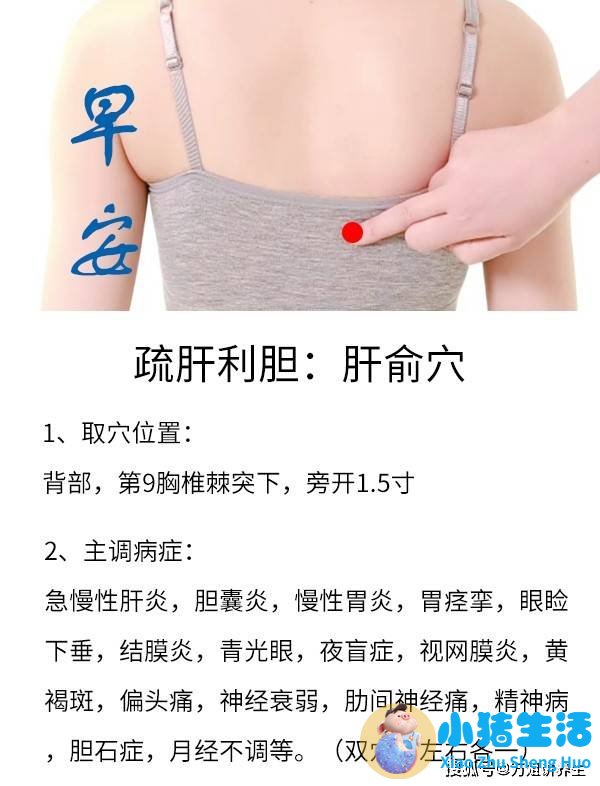 女性春季养生小常识