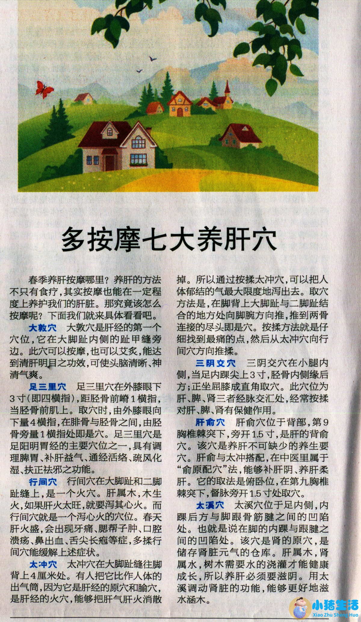 女性春季养生小常识