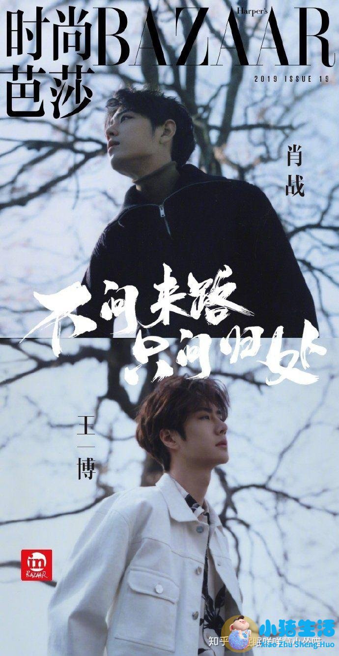 木耳每天吃好吗