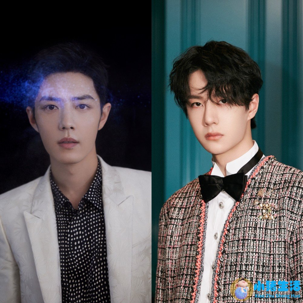 木耳每天吃好吗