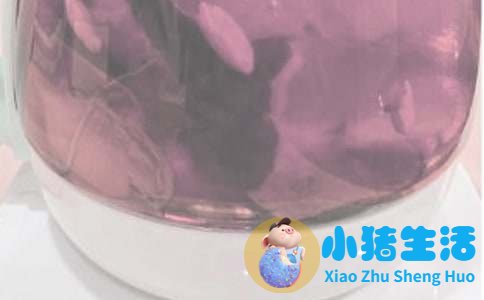 春季养生健康小常识