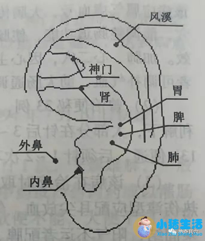 苍术白芷烟熏剂对宝宝有影响吗
