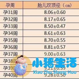 育儿宝典：妊娠分娩育儿指导大全