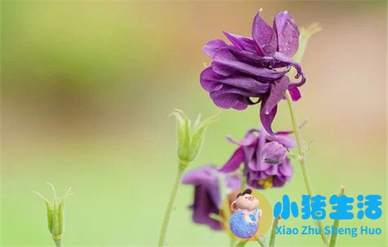 发现老公暧昧聪明做法