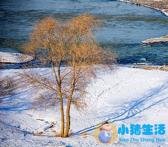 国内冬季旅游推荐