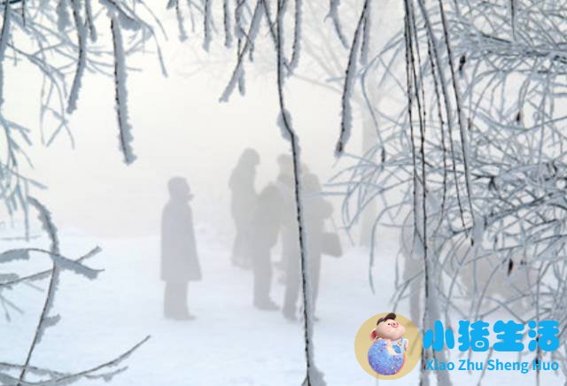 国内冬季旅游推荐