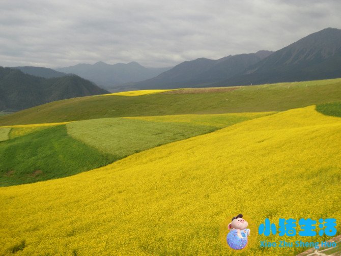 国内冬季旅游推荐