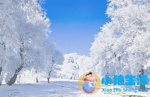 国内冬季旅游推荐