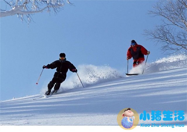 国内冬季旅游推荐