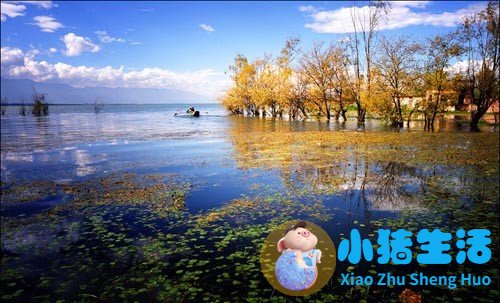 国内冬季旅游推荐