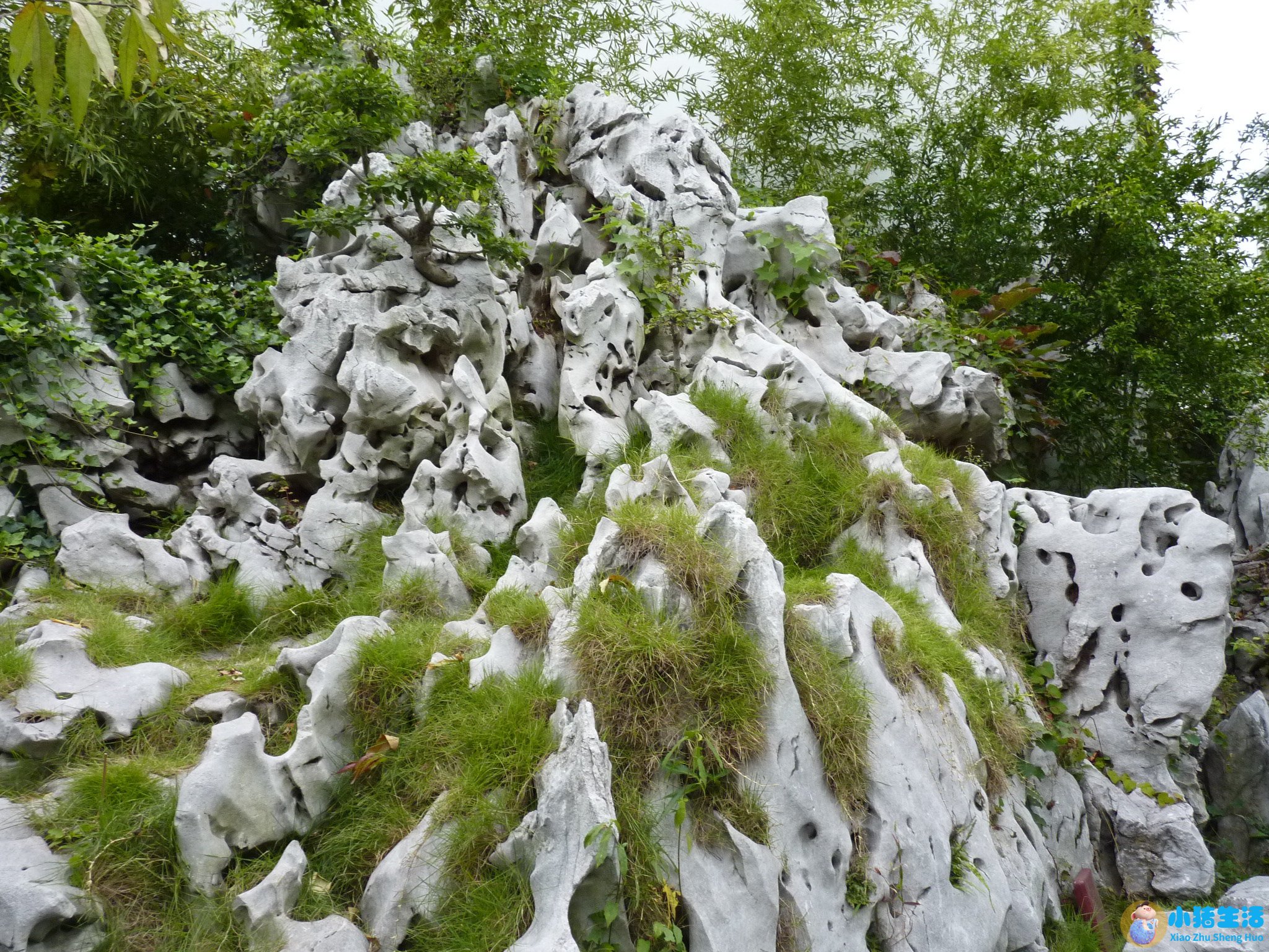 国内冬季旅游推荐