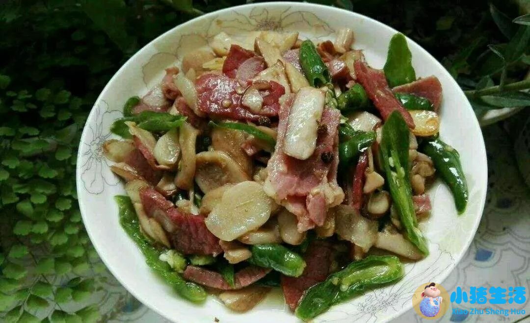 国内冬季旅游推荐