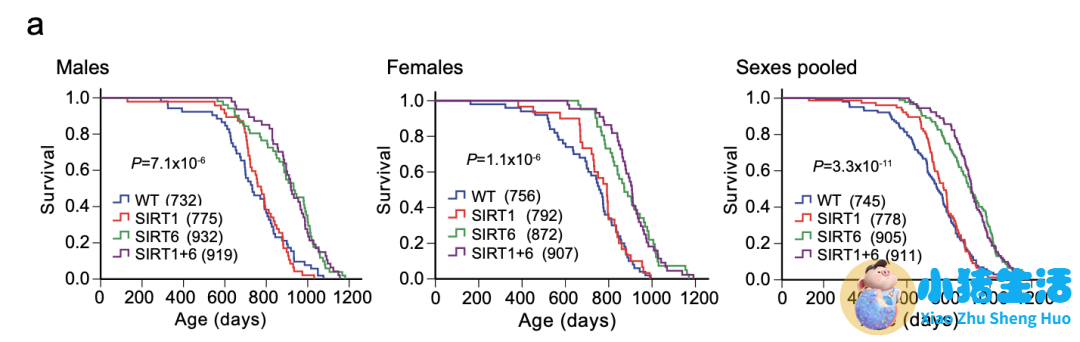 每坐1小时平均寿命缩短22分钟