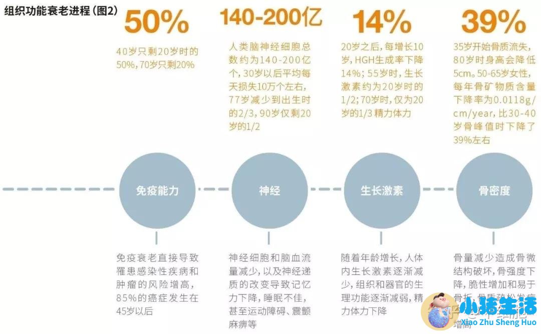 每坐1小时平均寿命缩短22分钟