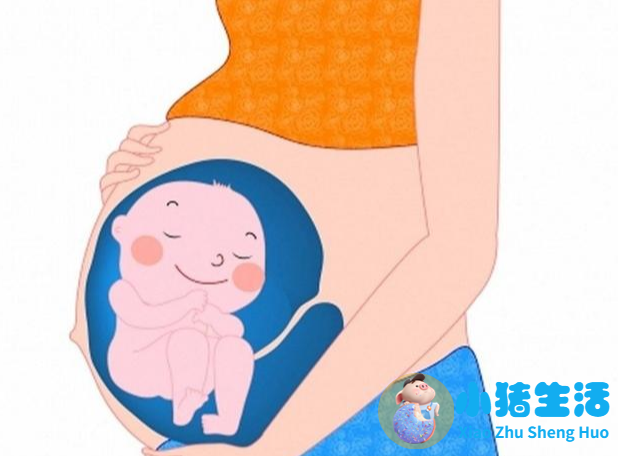 备孕能喝啤酒吗