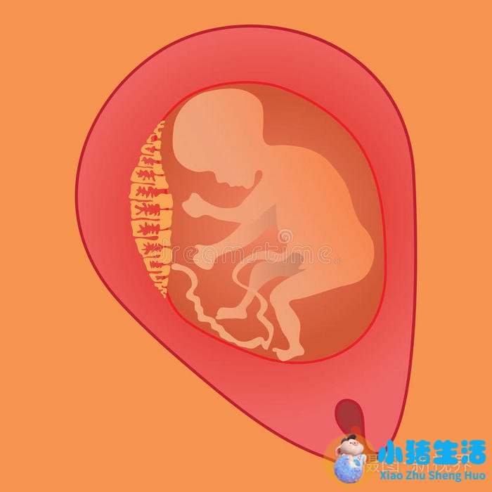 备孕能喝啤酒吗