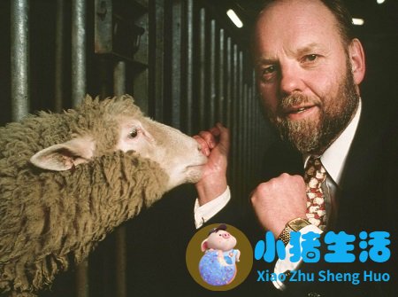 头发能不能克隆人