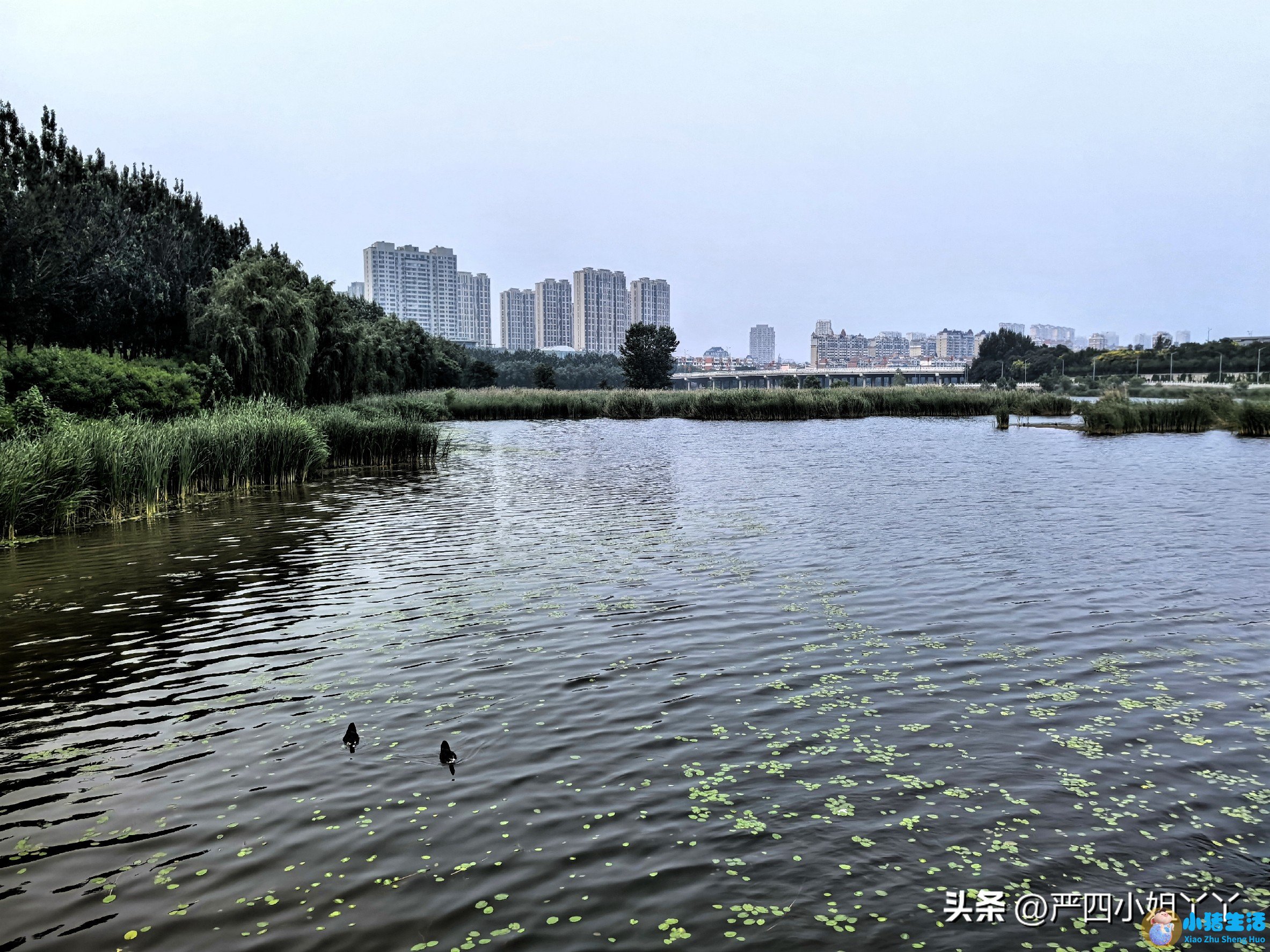 山海关现在是几a