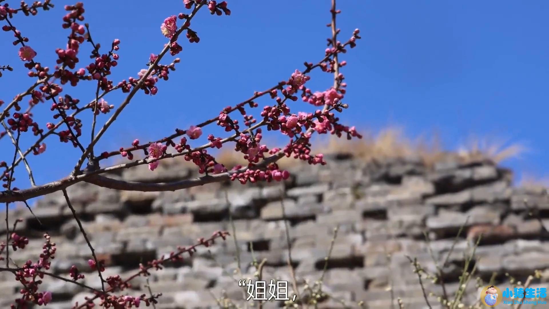 山海关现在是几a
