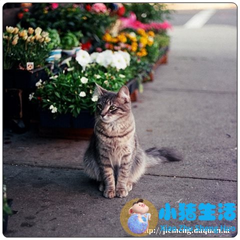 梦见死去的亲人摔倒了打点滴