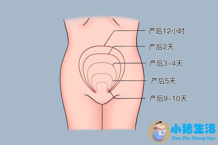 羊水3度污染对孩子影响