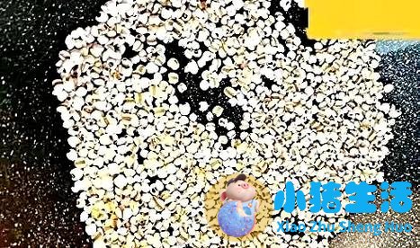 最好的减肥方法时间短效果好