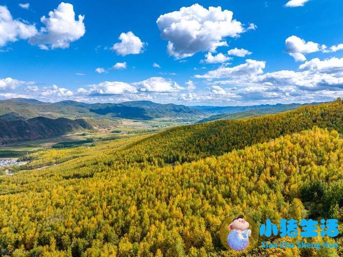 秋日的狂欢 11月全球最佳旅行地推荐 (5