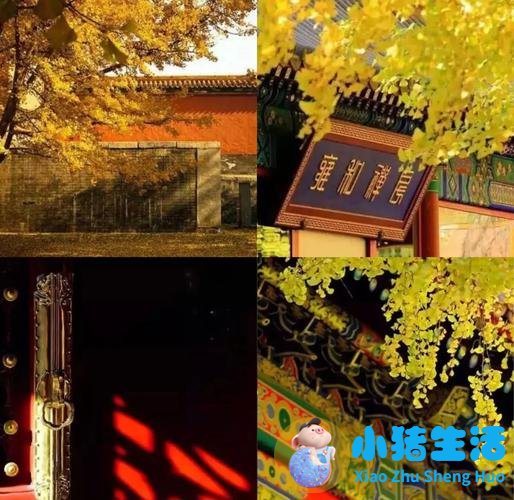 11月适合去国外哪旅游