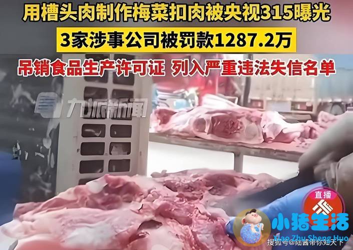 2026年央视315晚会曝光食品安全问题 腾讯