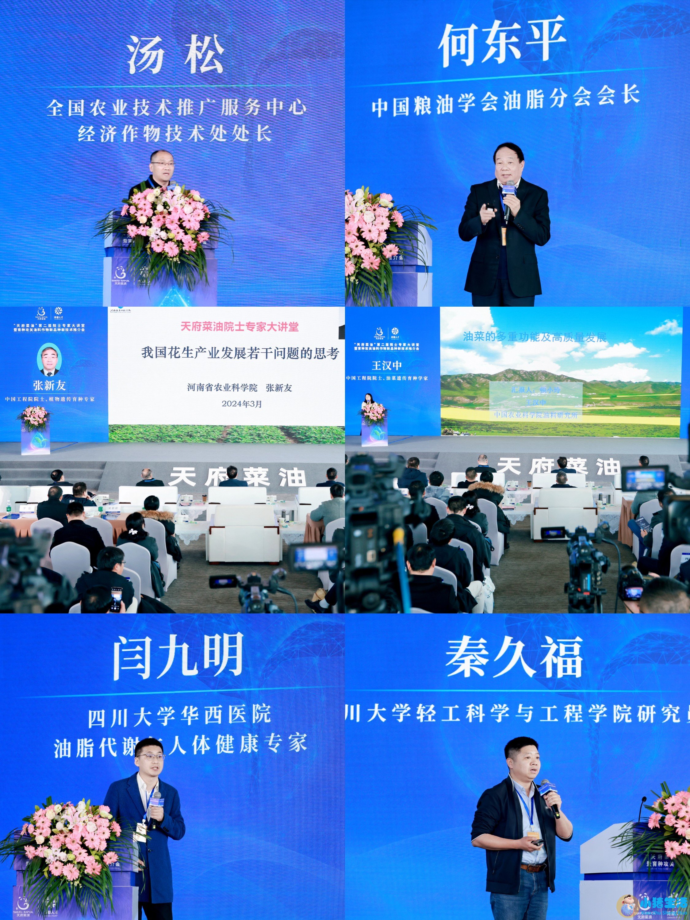 天府菜油是哪个公司的