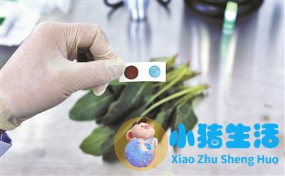 十类舌尖上的危险快检过程大揭秘：水产