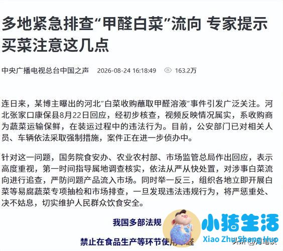 怎么判断紫砂锅有毒