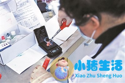 怎么判断紫砂锅有毒