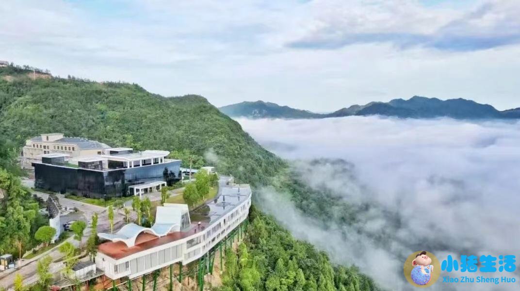 洞头县大自然旅行社有限公司