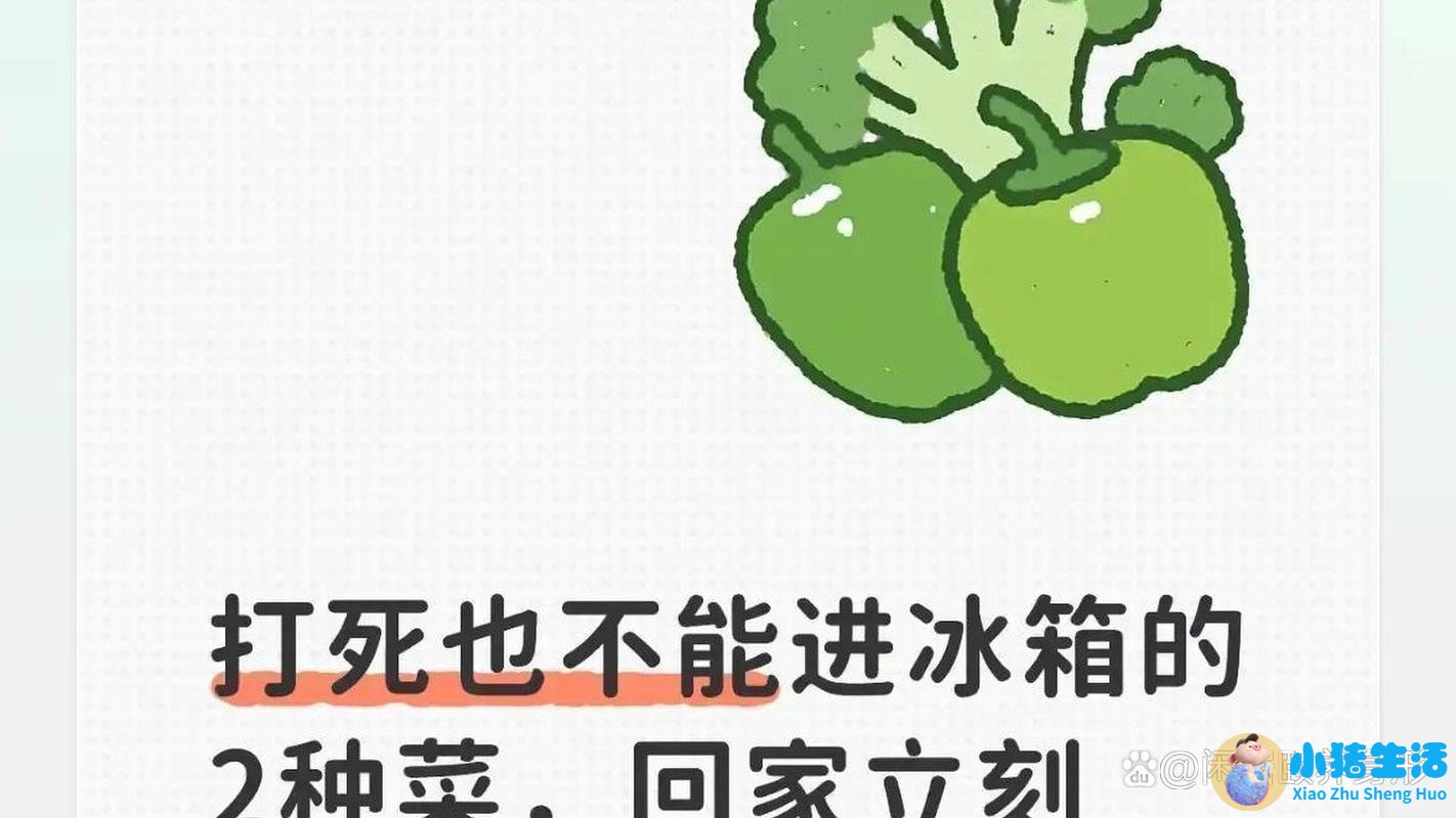 关于洋葱的营养价值500字