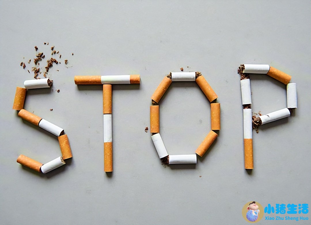 关于洋葱的营养价值500字