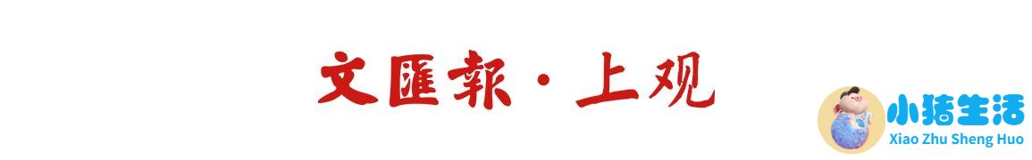 我的素食朋友们 | 小黑