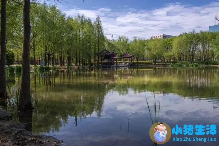 南宁上林县有什么好玩的地方