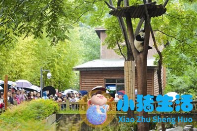 上有天堂,下有苏杭类似