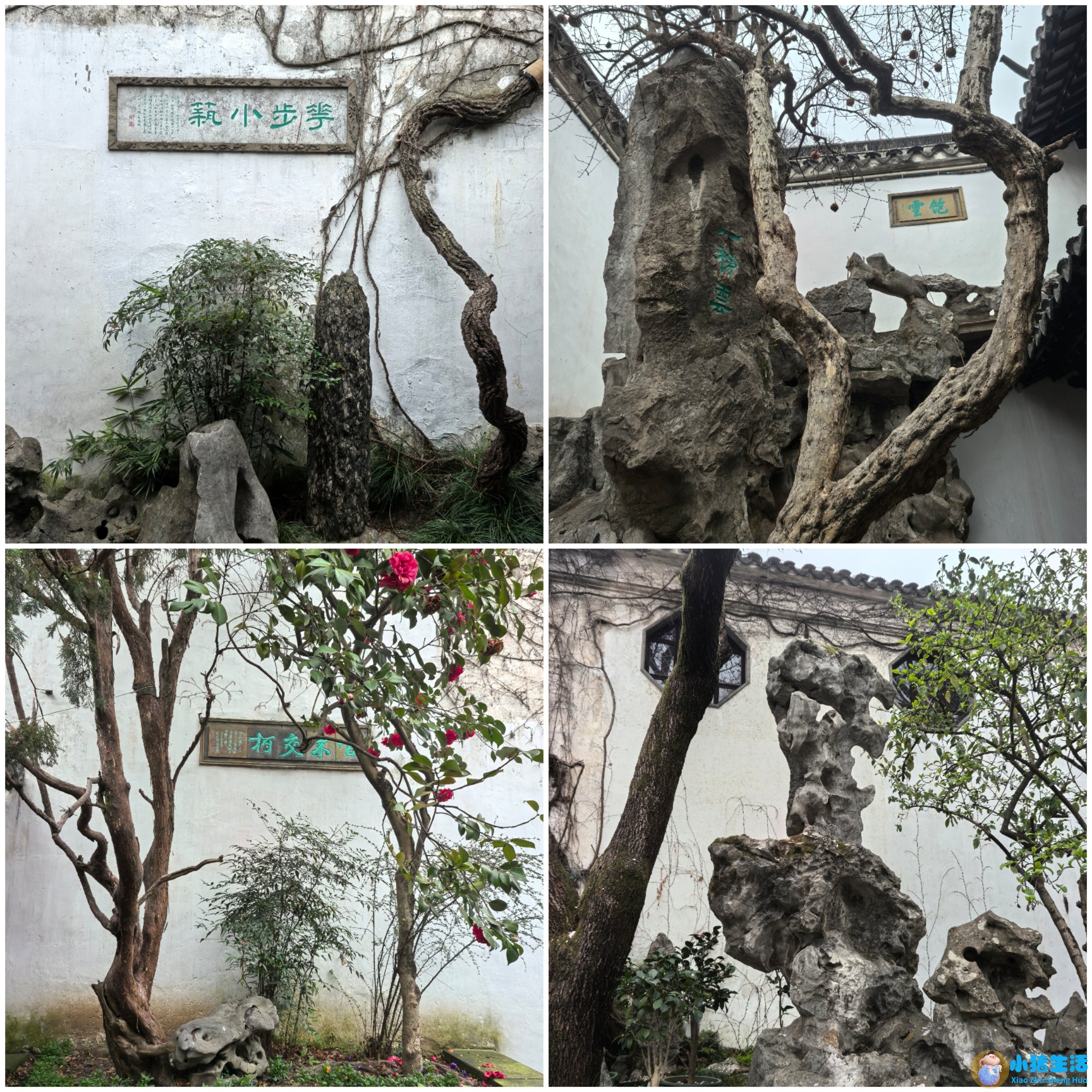 上有天堂,下有苏杭类似