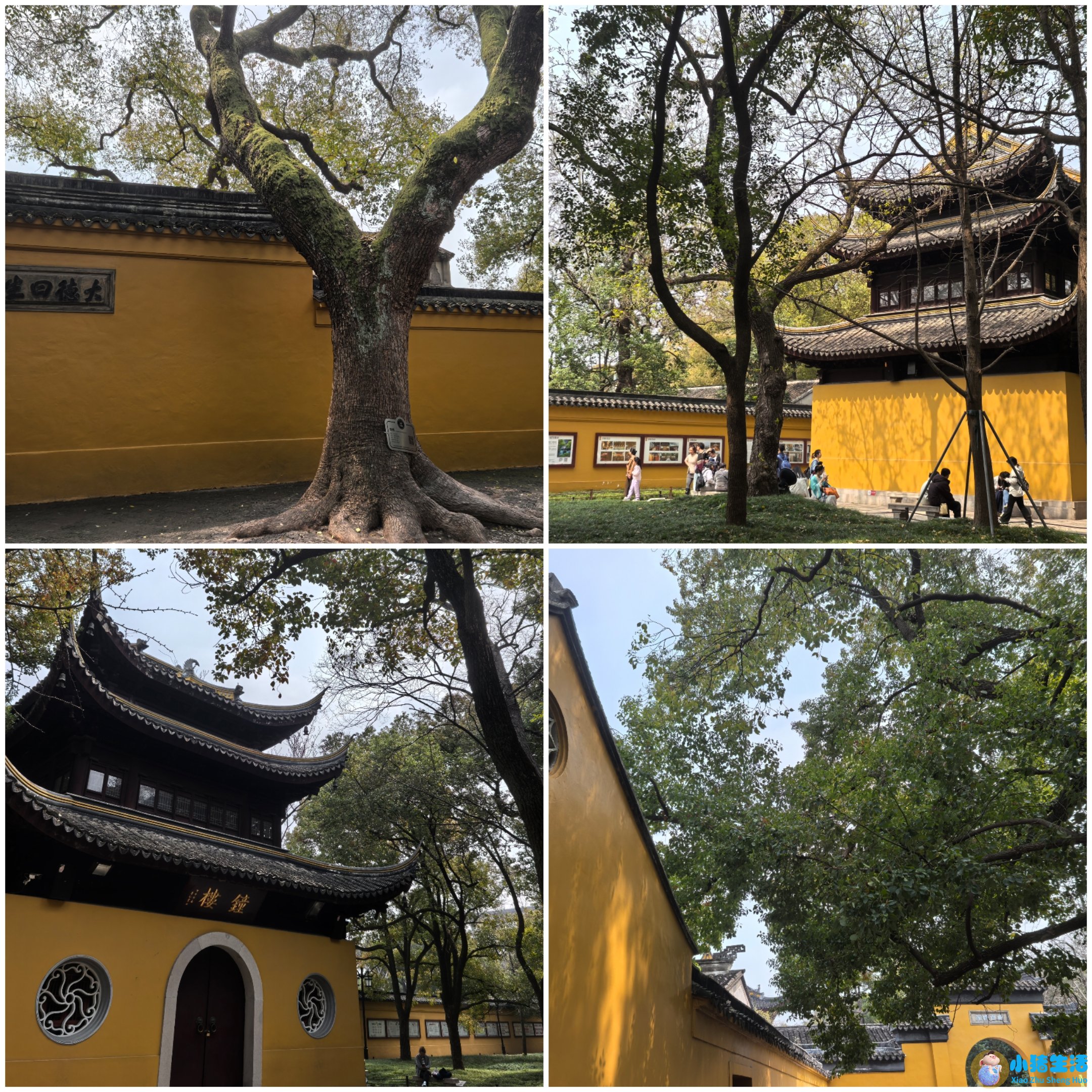 上有天堂,下有苏杭类似