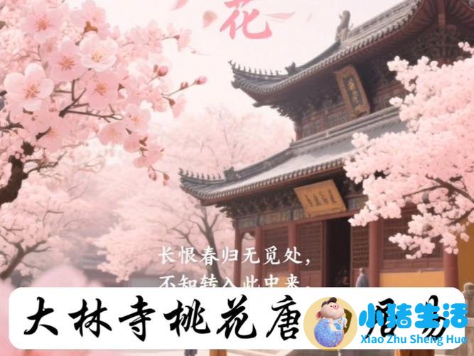 上有天堂,下有苏杭类似