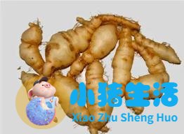 熟地黄的功效与作用及食用方法