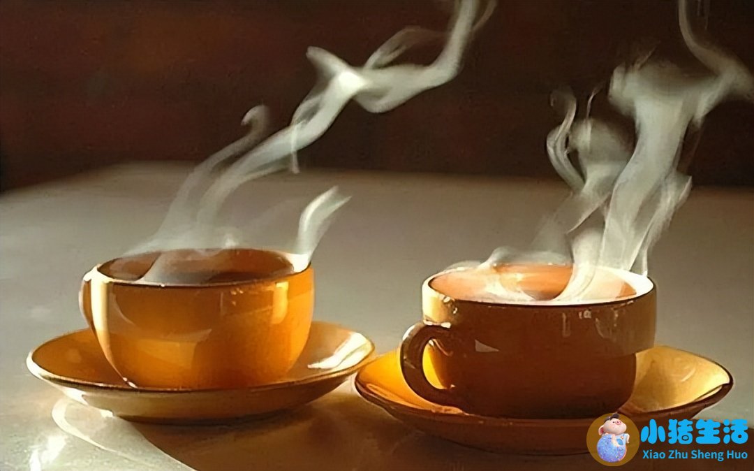 养生杯忽视的常识