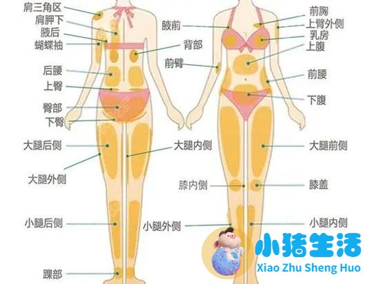 局部减肥有用吗?
