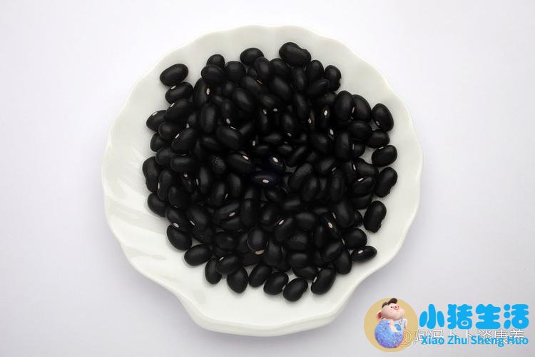 冬季补肾养生食物