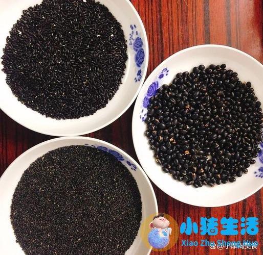 冬季补肾养生食物